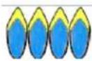 Forza FR366SE - Soft Blue Flames - 2