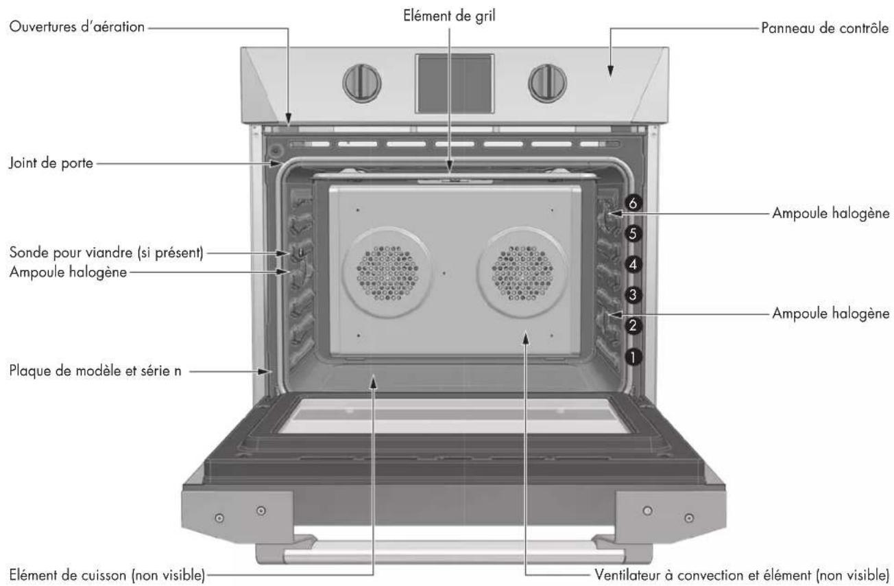 Forza FOSP30S - Avantages de la cuisson par convection - 1