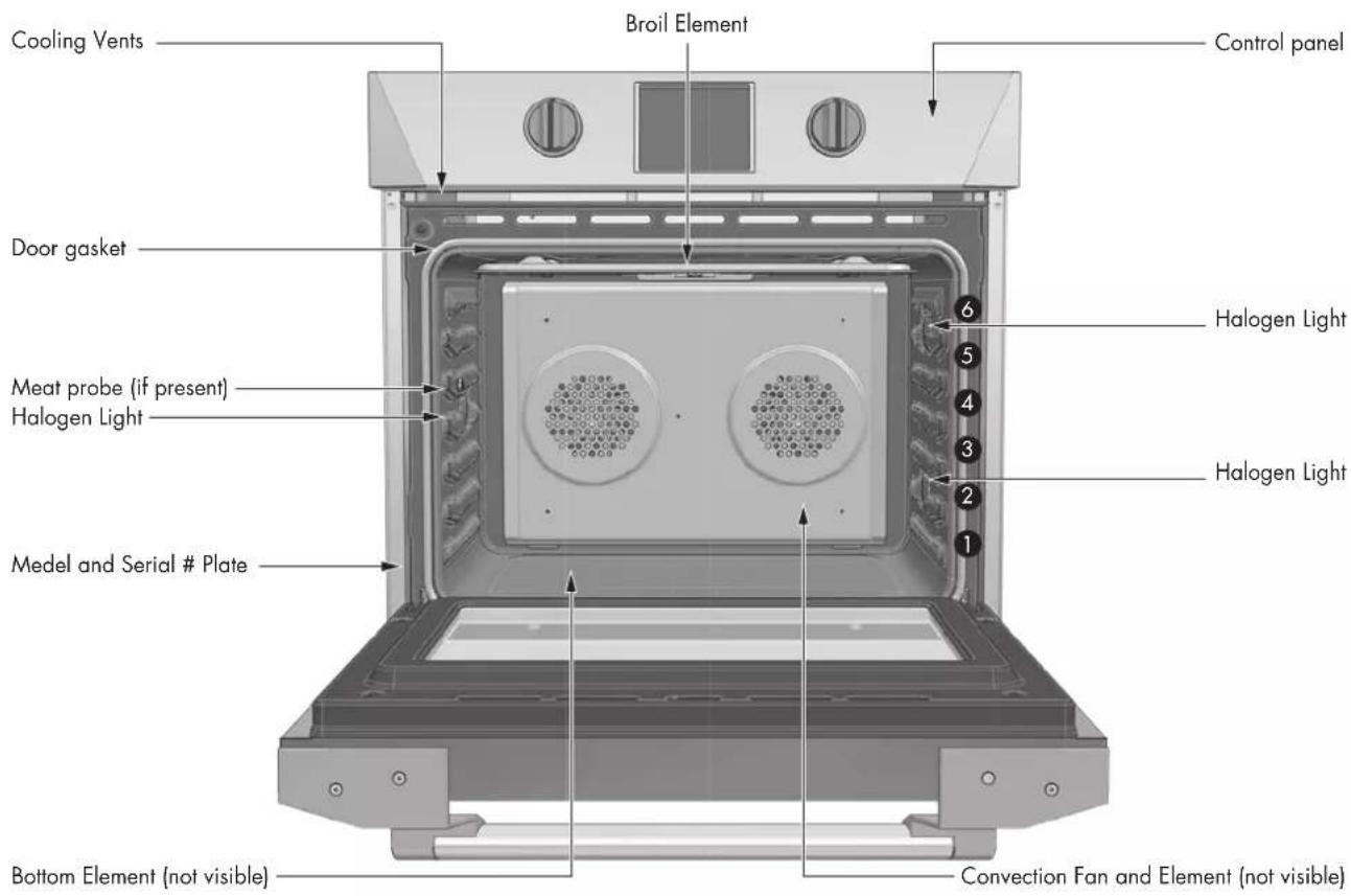 Forza FODP30S - Advantages of Convection Cooking - 1