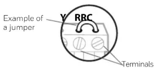 HONEYWELL RTH7560E1001/E - Remove any jumpers - 1