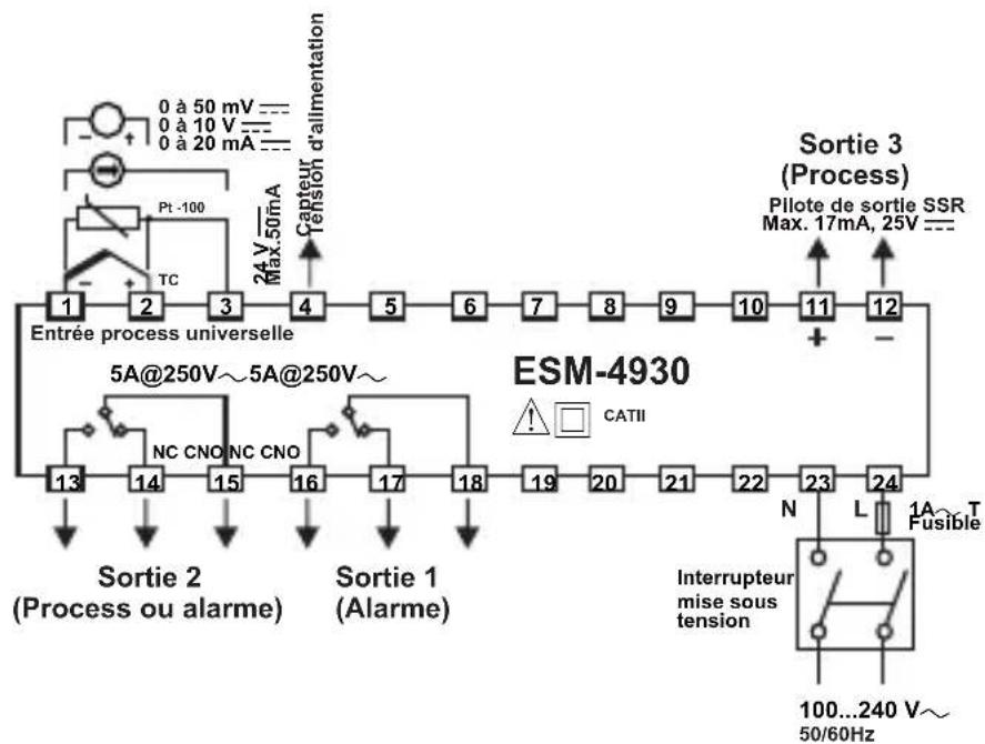 Emko ESM-9930 - Connexions électriques - 2