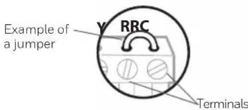 HONEYWELL RTH5160D1003/E - Record which R-wire(s) you have and write down the color of the wire(s). - 1