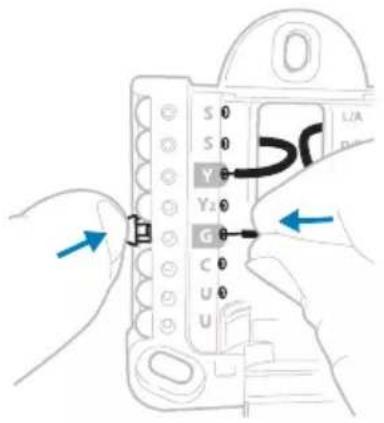 HONEYWELL RTH5160D1003/E - Gently tug on the wires to verify they are secure. - 1