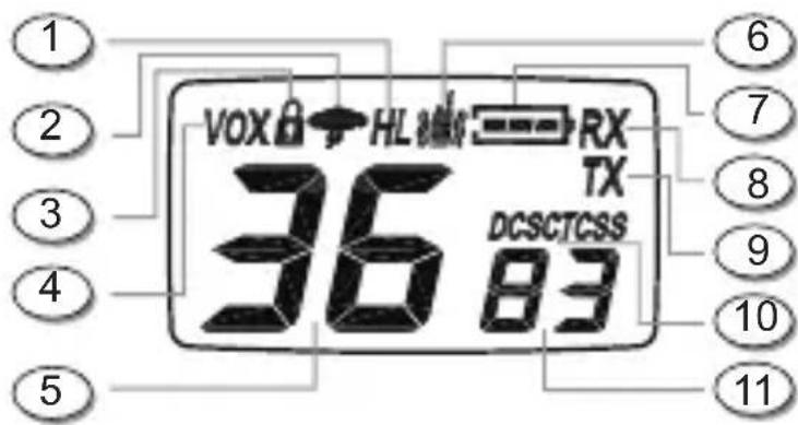 MIDLAND X-Talker T75VP5D - ECRAN LCD - 1