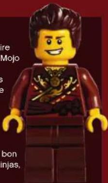 LEGO Ninjago 70751 - LES NINJAS - 6