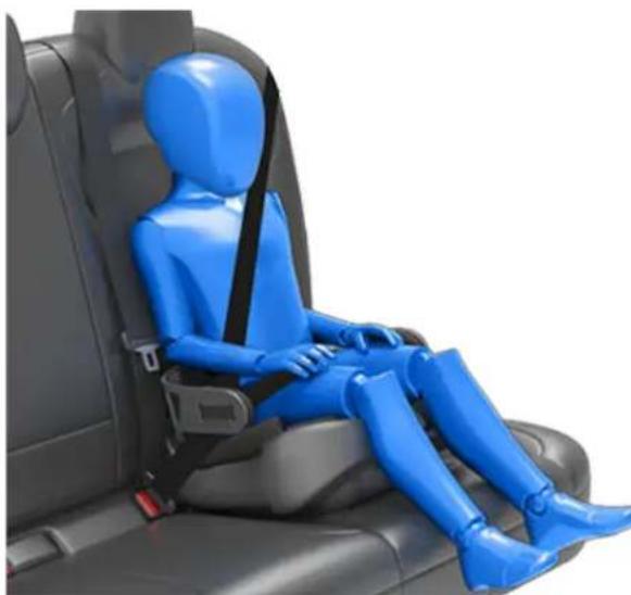 TESLA Model 3 (2023) - Transport d'enfants de grande taille - 1