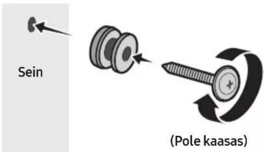 Sein (Pole kaasas)
