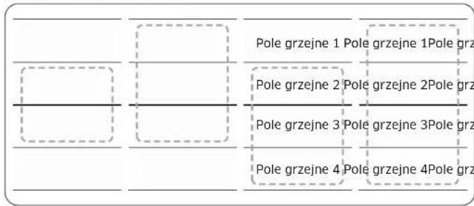 SAMSUNG NZ64B6058FK - Panel Flex Plus (tylko modele z funkcją panelu Flex Plus) - 2