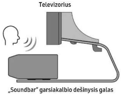 Televizorius „Soundbar" garsiakalbio dešinysis galas