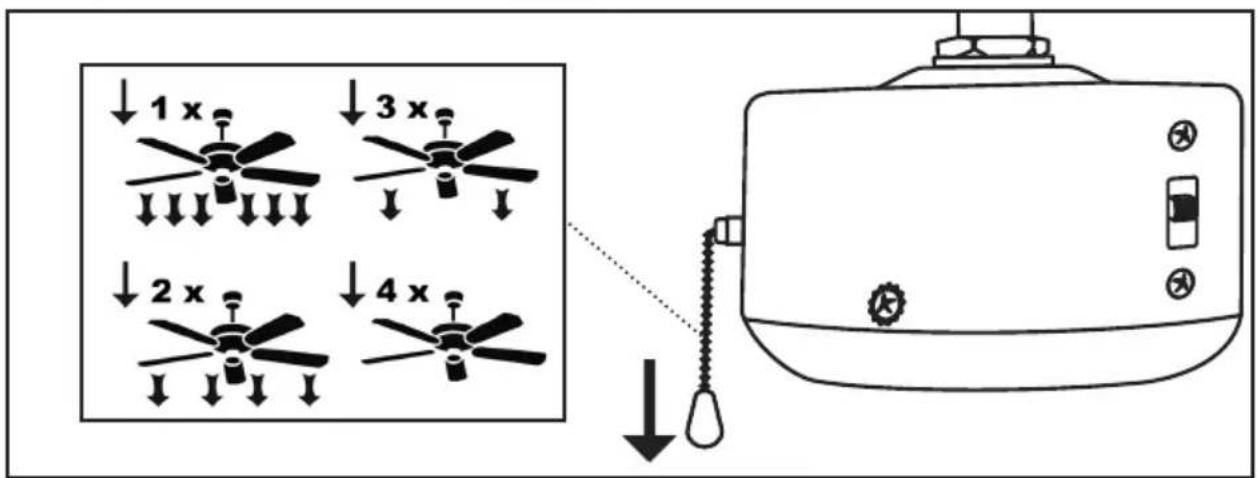↓1 x ↓3 x ↓2 x ↓4 x