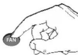 FAN a