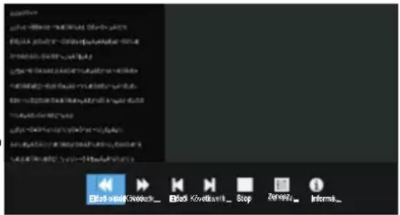 OK OTV 32H-5022C - Ha Szöveg fájlokat játszik le: - 1