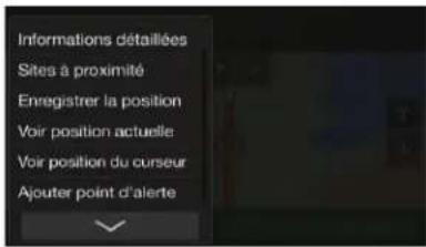 Informations détaillées Sites à proximité Enregistrer la position Voir position actuelle Voir position du curseur Ajouter point d'alerte