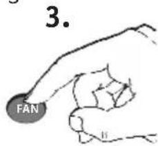 3. FAN