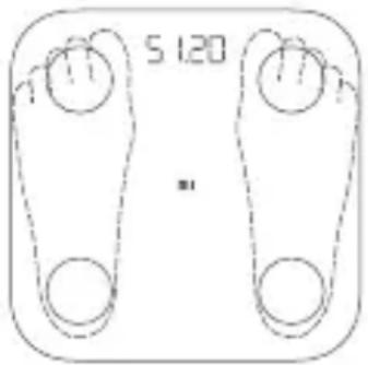 Xiaomi Mi Body Composition Scale 2 - Peso e misurazione del grasso corporeo - 1