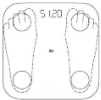 Xiaomi Mi Body Composition Scale 2 - 몸무게 및 체지방 재기 - 1