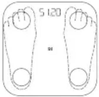 Xiaomi Mi Body Composition Scale 2 - Peso y medición de la grasa corporal - 1