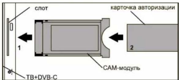 DEXP H32E8000Q - Установка модуля Cl в слот Cl - 1