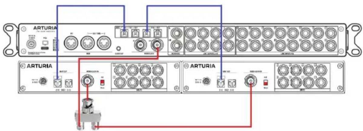 Arturia AudioFuse 16Rig - Travailler avec plusieurs périphériques ADAT en utilisant la Word Clock Sync - 1