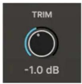 Arturia AudioFuse 16Rig - Caractéristiques des canaux - 9