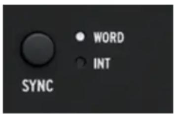 Arturia AudioFuse 16Rig - Travailler avec plusieurs périphériques ADAT en utilisant la Word Clock Sync - 3