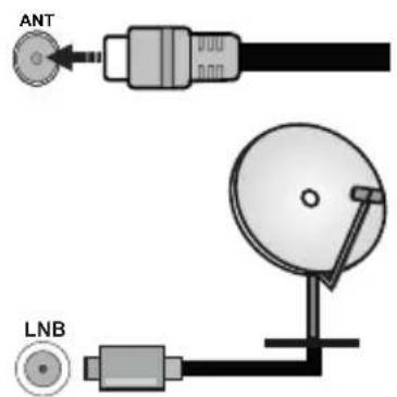 PANASONIC TX-32MS480E - Anschluss der Antenne - 1