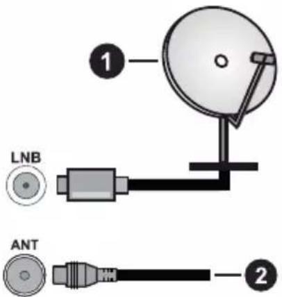 PANASONIC TX-50MX600E - Branchement de l'antenne - 1