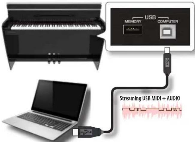Dexibell Vivo H5 - NOTE - 1