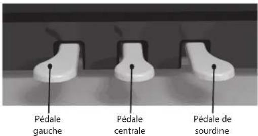Dexibell Vivo H5 - CONTRÔLE - 2
