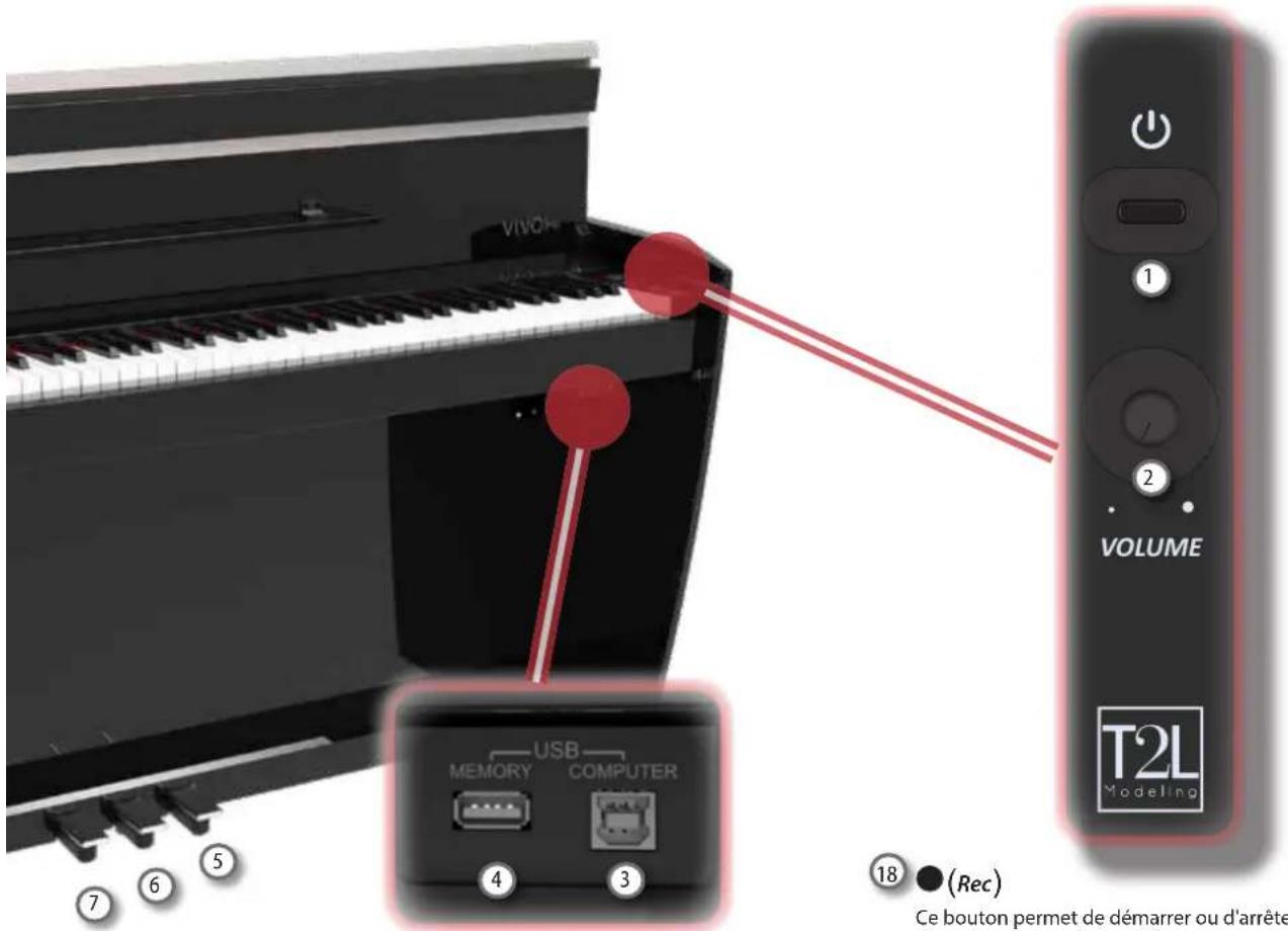 Dexibell Vivo H5 - ENTRÉE AUDIO - 1