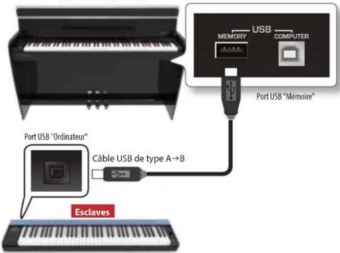 Dexibell Vivo H5 - Connexion de VIVO H5 à un clavier MIDI USB (fonction hôte USB) - 1