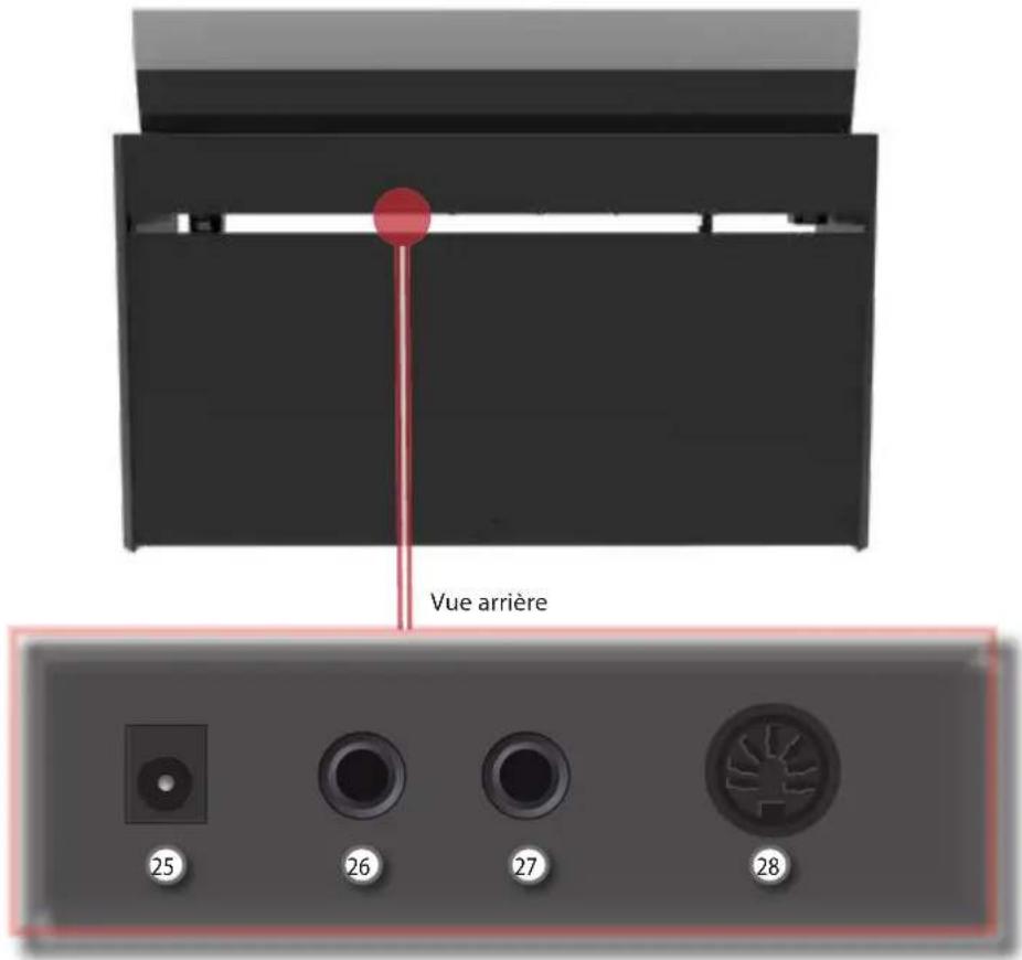 Dexibell Vivo H5 - Côté arrière - 1