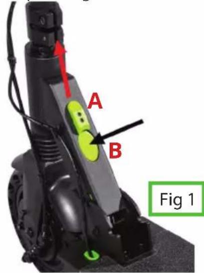 A B Fig 1
