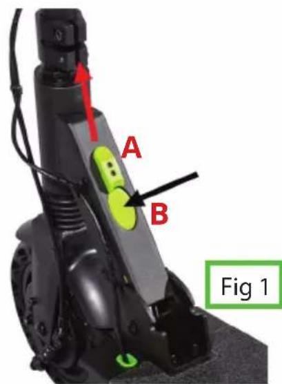A B Fig 1