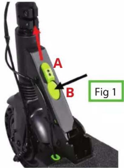 A B Fig 1