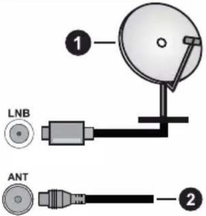 PANASONIC TX-55MX600E - Collegamento antenna - 1