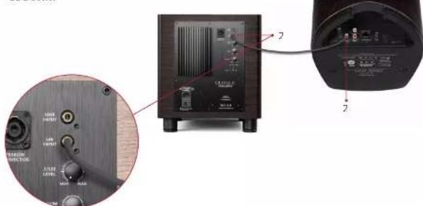 Sonus Faber DUETTO - DÉPANNAGE DE LA SORTIE SUBWOOFER - 1