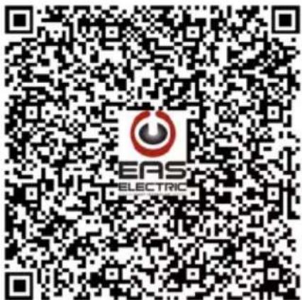 EAS Electric EMSG20L - SMART TECHNOLOGY - 1