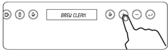 EAS Electric ECOFFE45 - Nettoyage de l'infuseur ("CLEAN BREW") - 2