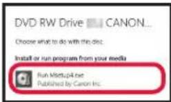 CANON PIXMA G2510 - Using Setup CD-ROM (Windows Only) - 4