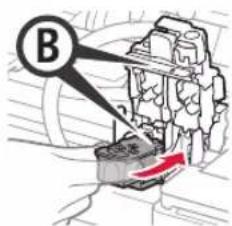 B