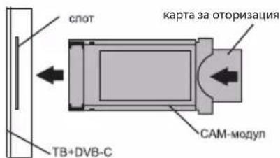 Kivi 55U750NW - CbP3BAHE HA KAPTA 3A YCIOBEH IOCTbI CI - 2