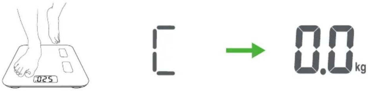.025 C → 0.0 kg
