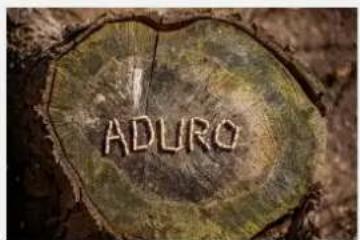 ADURO 9 Lux-serien - SÅDAN FÅR DU SUCCES MED DIN NYE BRÄENDEOVN - 1