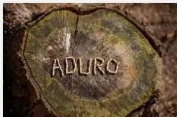 ADURO 9 Lux-serien - HOW TO SUCCEED WITH YOUR NEW WOOD BURNING STOVE - 1