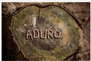 ADURO 9 Lux-serien - CÓMO SACAR EL MÁXIMO PROVECHO DE UNA ESTUFA ADURO - 1