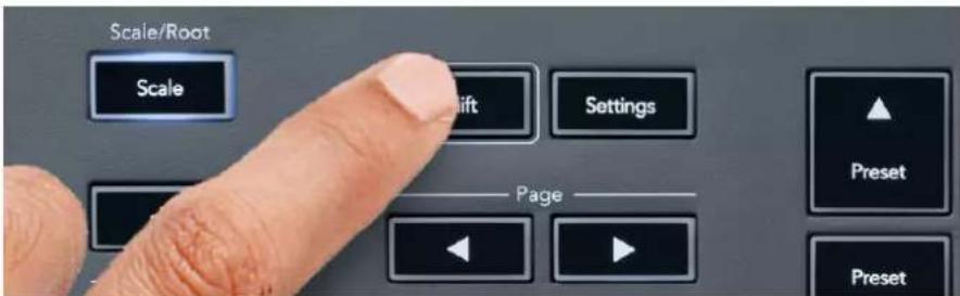 NOVATION FLkey 49 - Voir les sélections du Channel Rack - 1