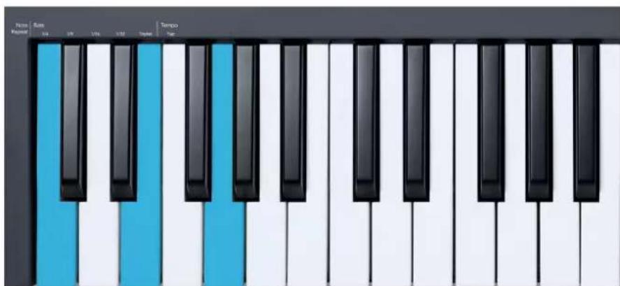 NOVATION FLkey 49 - Les touches d'octave - 1