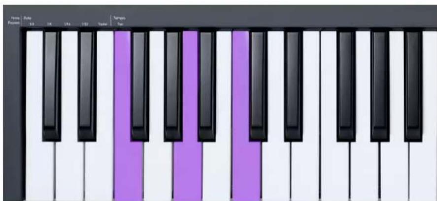 NOVATION FLkey 49 - Les touches d'octave - 2