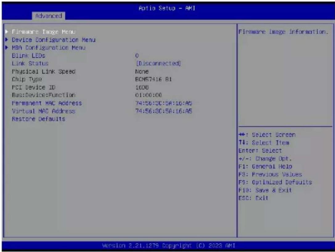 GIGABYTE G293-Z21 - 5-2-18 Broadcom BCM57416 10GBASE-T Network Connection - 1